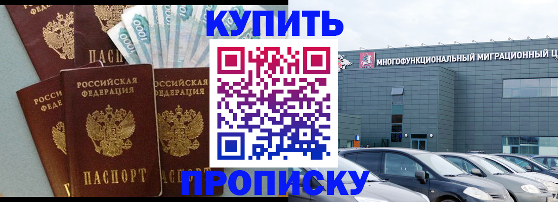 прописка штамп в Светогорске